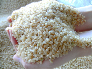 刈り取られた米